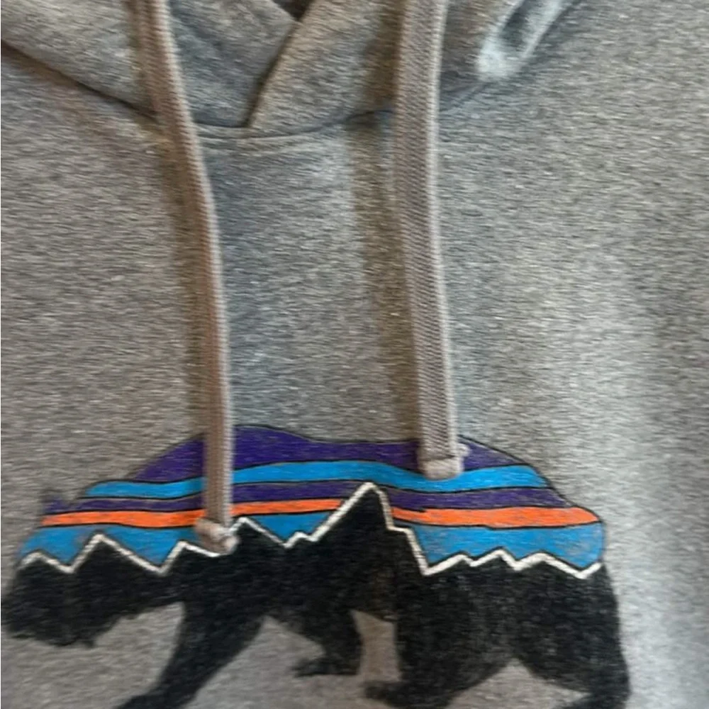 Patagonia Men's Fitz Roy Bear Midweight Hoody - Gray - Picture 3 of 10